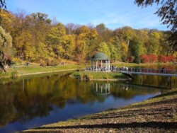 ��������� �������� ���, ����������� ���� 10