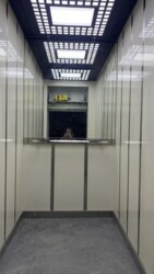 ��������� �������� ���, ������������� ���� 8