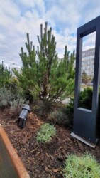 ��������� �������� ���, ������������� ���� 15