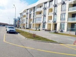 ��������� �������� ���, ����������� ���� 12