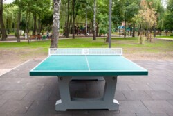 ��������� �������� ���, ������������� ���� 22