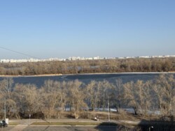 ��������� �������� ���, ����������� ���� 7