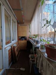 ��������� �������� ���, ������������� ���� 13