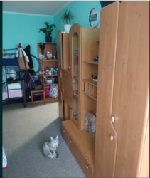 ������ 1-�� ������� �������� �� ������������� � �������������� ���� 5