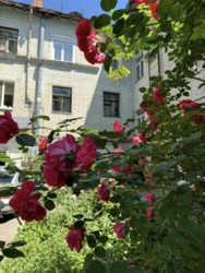 ������ �������� ������� �������� � ����� �. ������������� ���� 4