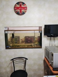 Продам трикімнатну квартиру на Попова в м. Кропивницький фото 16 Продам трикімнатну квартиру на Попова в м. Кропивницький фото 16