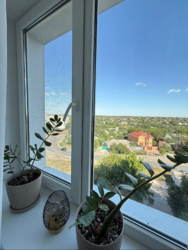 Продам 2-х кімнатну квартиру район 5/5 у Кропивницькому фото 13 Продам 2-х кімнатну квартиру район 5/5 у Кропивницькому фото 13