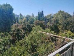 Однокімнатна квартира на Заболотного/Добровольського фото 2 Однокімнатна квартира на Заболотного/Добровольського фото 2