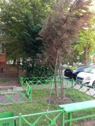 Однокімнатна квартира в ЖК «Вернісаж» на Таїрова фото 17 Однокімнатна квартира в ЖК «Вернісаж» на Таїрова фото 17