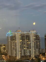 Продається стильна євродвушка в ЖК «Елегія Парк»! фото 13 Продається стильна євродвушка в ЖК «Елегія Парк»! фото 13