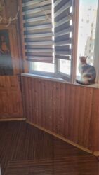 Продається затишна квартира на Заболотного! фото 6 Продається затишна квартира на Заболотного! фото 6