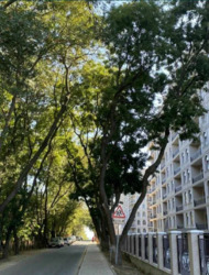 2 ʳ������ �������� � �� ������ ���� 5