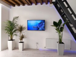 ����� 1-������� �������� ���� 2