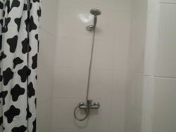 ������� �������� � ����� ���� ���� 5