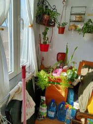 Затишна квартира фото 9 Затишна квартира фото 9