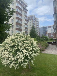 Продається однокімнатна квартира з великою лоджією у ЖК Золота Ера фото 2 Продається однокімнатна квартира з великою лоджією у ЖК Золота Ера фото 2