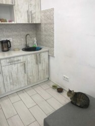 �����-�������� �� ��������� ���� 1