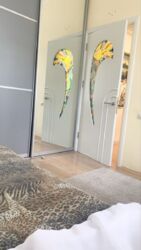 Продається чудова двокімнатна квартира в центрі міста на вулиці Прохорівській фото 7 Продається чудова двокімнатна квартира в центрі міста на вулиці Прохорівській фото 7