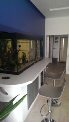 ��������� �������� ��������, 8�, �����, �������, ����������� ���� 3