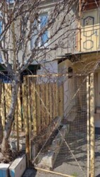 2-������� �������� � ����������� ����� ����� ���� 14