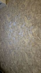 1-������� �������� � �� ������� ������ ���� 8