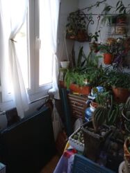 Затишна квартира фото 4 Затишна квартира фото 4