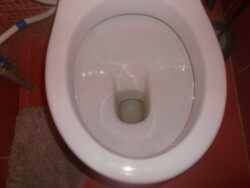 Затишна квартира фото 5 Затишна квартира фото 5