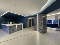 ������� �������� ��� ���� ���� 19