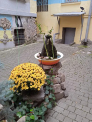 2 ������� �������� � ����� ���� ���� 9