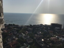 �� ���䳿 � ������ ����� �� ����. ���� 13