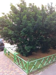 Однокімнатна квартира в ЖК «Вернісаж» на Таїрова фото 16 Однокімнатна квартира в ЖК «Вернісаж» на Таїрова фото 16