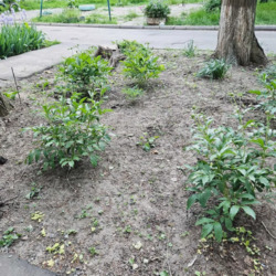 Уютна 2-кімнатна квартира біля моря фото 9 Уютна 2-кімнатна квартира біля моря фото 9