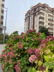 Продається 1-кімнатна квартира біля моря в ЖК «Золота Ера»! фото 5 Продається 1-кімнатна квартира біля моря в ЖК «Золота Ера»! фото 5