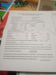 Затишна квартира фото 3 Затишна квартира фото 3