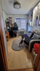 Продається затишна квартира на Заболотного! фото 13 Продається затишна квартира на Заболотного! фото 13