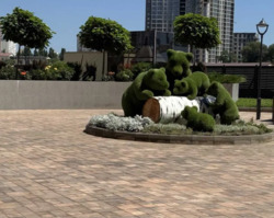 Квартира у ЖК 66 Перлина фото 4 Квартира у ЖК 66 Перлина фото 4