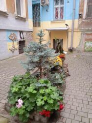 2 ������� �������� � ����� ���� ���� 1