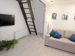 ����� 1-������� �������� ���� 5