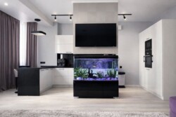 �������� 2-������� �������� ���� 2