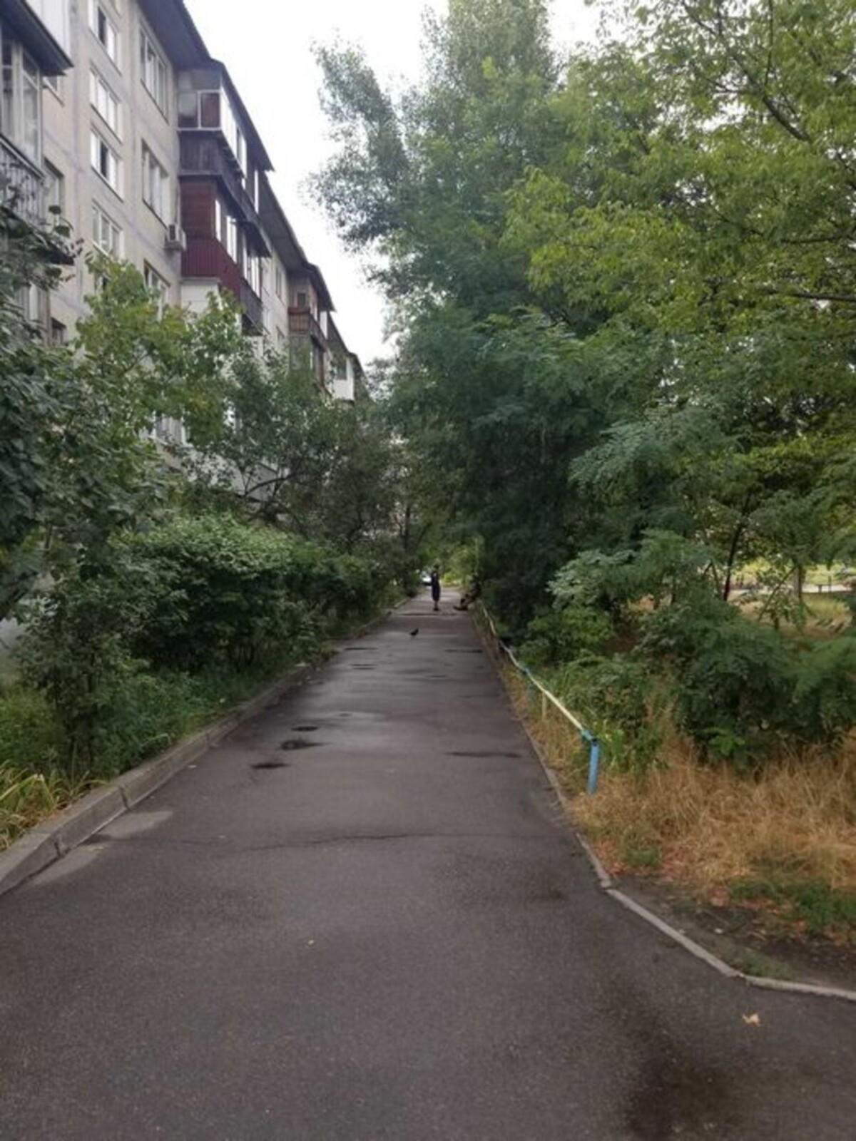   , ,  , 14/1  1