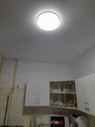   , ,  곿 ( ), 6, .   20