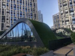 ��������� �������� ������, ���, ���������� ���� 18