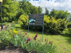 Продається квартира Київ, Подільський, Вишгородська, 45 фото 17 Продається квартира Київ, Подільський, Вишгородська, 45 фото 17