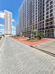 ��������� �������� ������� �����������, 24, ���, ����������� ���� 20