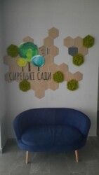 ��������� �������� ����� �����������, 10�, ���, ���������� ���� 4