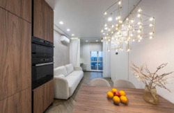 ��������� �������� �����������, 24�, ���, �����������, �. ������������ ���� 5