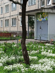Продається квартира Оболонський проспект, 39а, Київ, Оболонський фото 15 Продається квартира Оболонський проспект, 39а, Київ, Оболонський фото 15