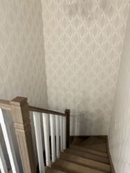 ��������� �������� ����� ��������, ���, ���������� ���� 20