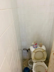 ��������� �������� ���������� 39-�, ���, ������������� ���� 19