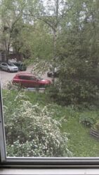 ��������� �������� ������ ������, 23, ���, �����'�������, �. ��������� ���� 18